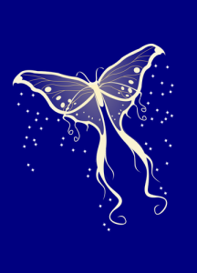 butterfly